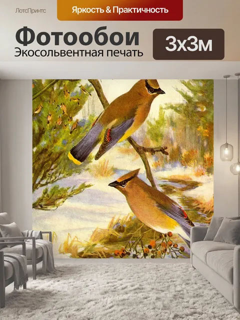 Фотообои Кедровый свиристель птица Иллюстрация