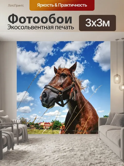 Фотообои Лошадь