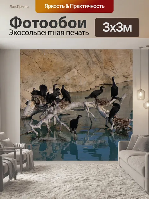 Фотообои Птица
