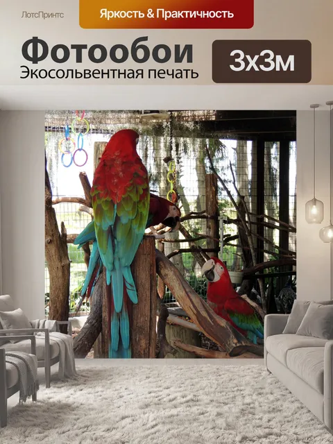 Фотообои 3 попугаи в святилище