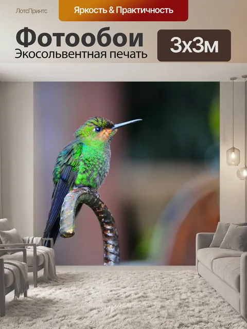 Фотообои Коста рика
