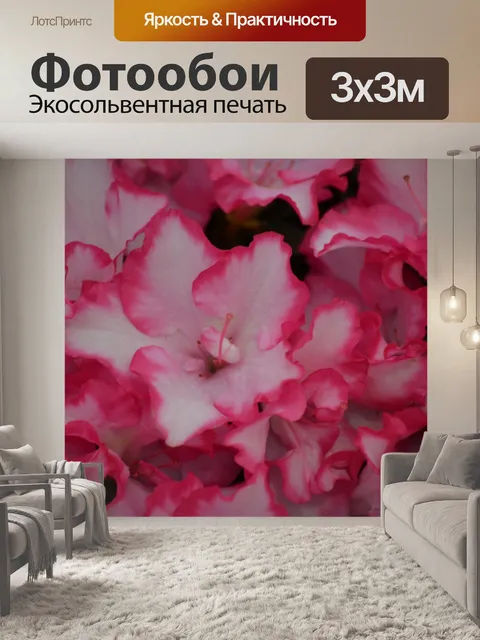 Фотообои Азалия