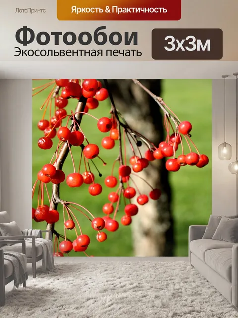 Фотообои Красные ягоды