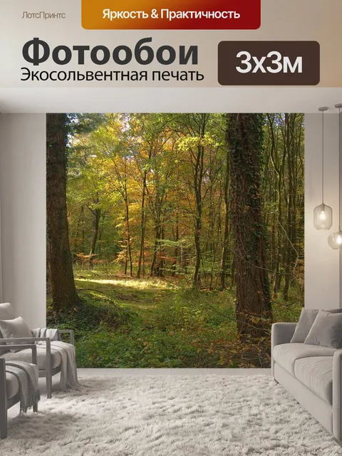 Фотообои Лес