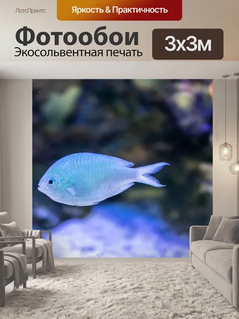 Фотообои Синяя рыба