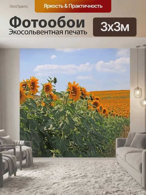Фотообои Подсолнухи