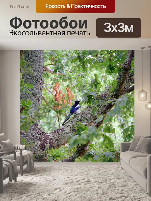 Фотообои Сорока в лесу