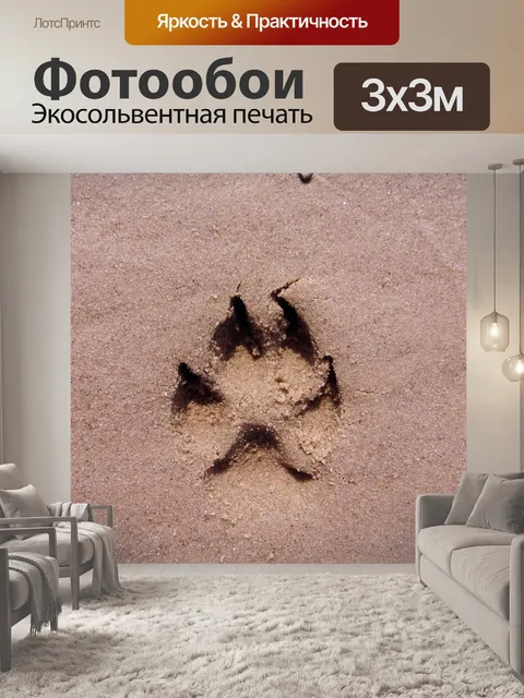 Фотообои Лапа собаки
