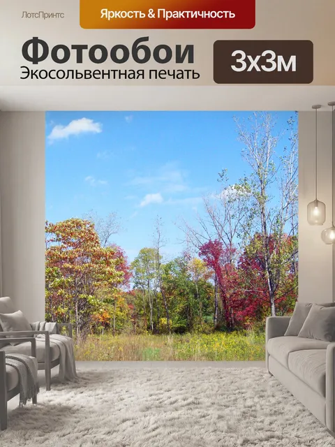 Фотообои Осенние деревья