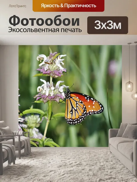 Фотообои Королева Бабочка на Фиолетовый Уайлдфлау