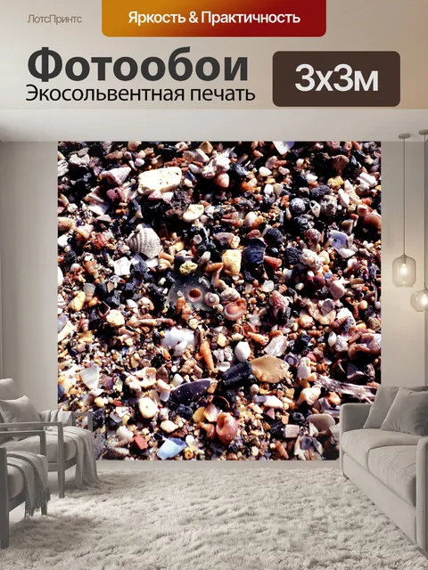 Фотообои Ракушки
