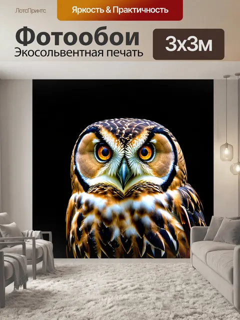 Фотообои темный фон с яркими, сверкающими глазами совы, которая внимательно следит за всем, что происходит вокруг