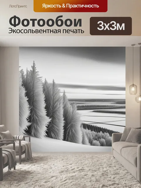 Фотообои пейзаж с окна зимний чернобелый