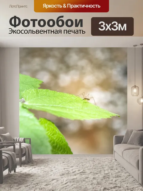 Фотообои Комар