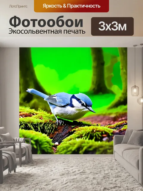 Фотообои небольшой поползень проверяет мох под ногами, исследуя лесную подоплеку с ярко-зеленым фоном