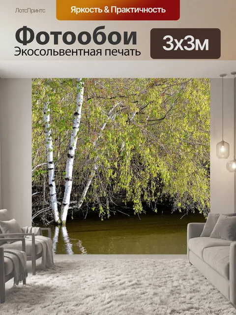 Фотообои берёза, растущая у реки, её длинные ветви склоняются к воде, отражаясь в её спокойных водах