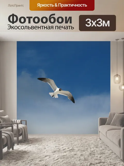 Фотообои Чайка