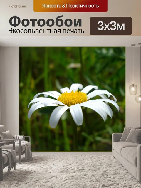 Фотообои Цветок
