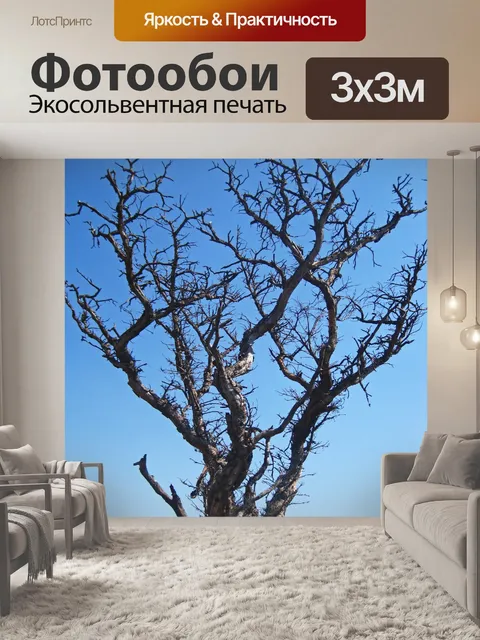 Фотообои неряшливо высохшее дерево на фоне голубо