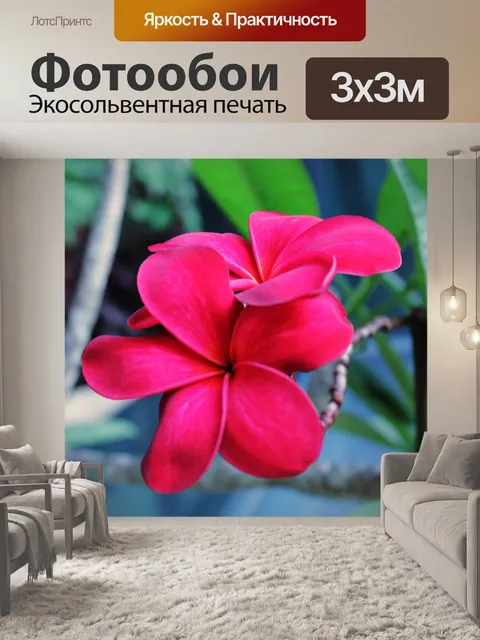 Фотообои Kalachuchi цветок