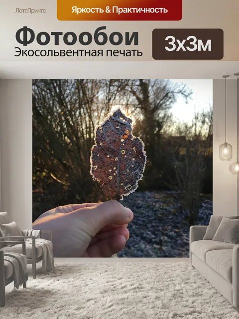 Фотообои Лист