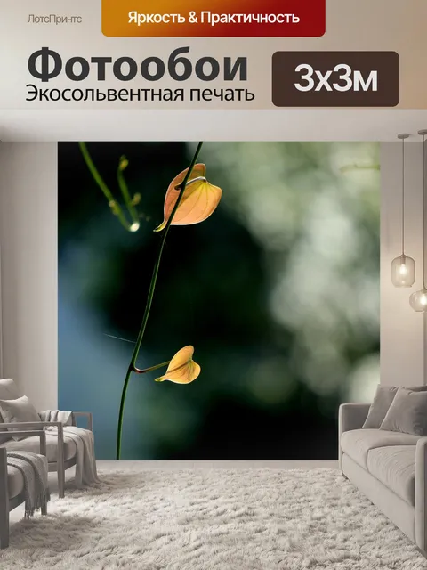 Фотообои Листья