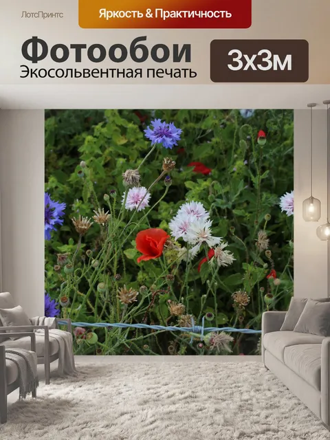 Фотообои Полевые цветы Красный мак Пурпурный Розо