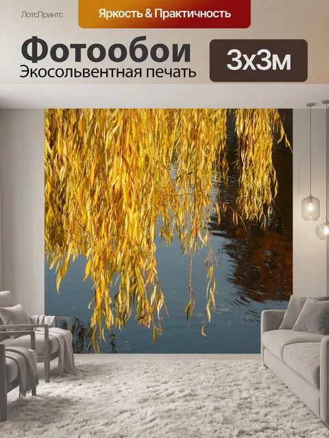 Фотообои Листья ивы