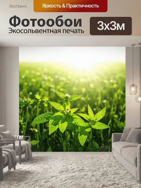 Фотообои мятный цвет: просторное поле с мятными травами, сквозь которые пробиваются лучи солнца