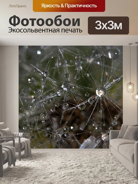 Фотообои Одуванчик