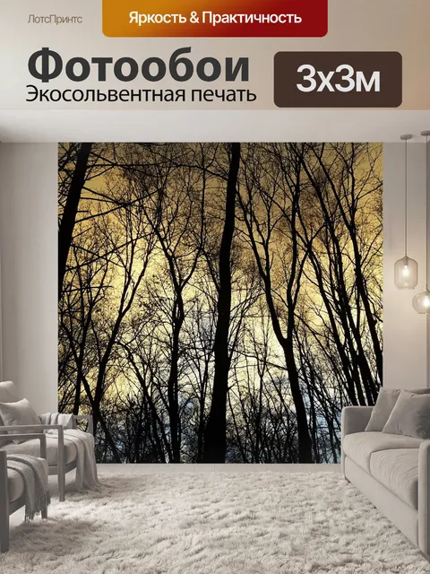 Фотообои Деревья