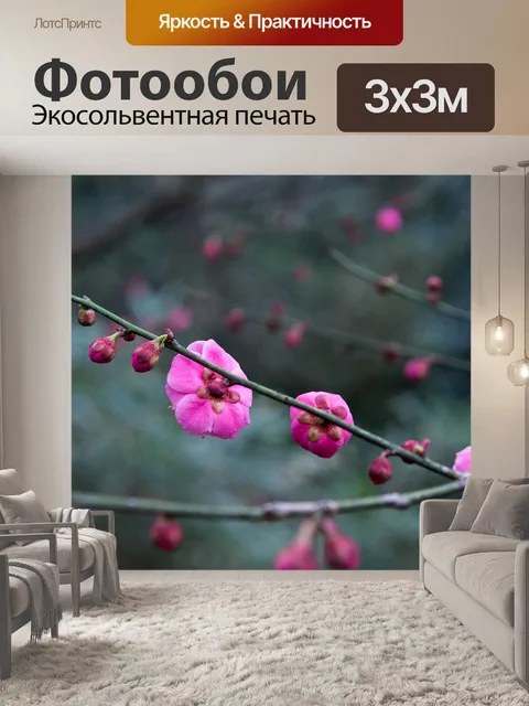 Фотообои Цветок