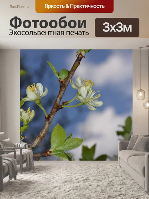 Фотообои Яблоня зацвела.