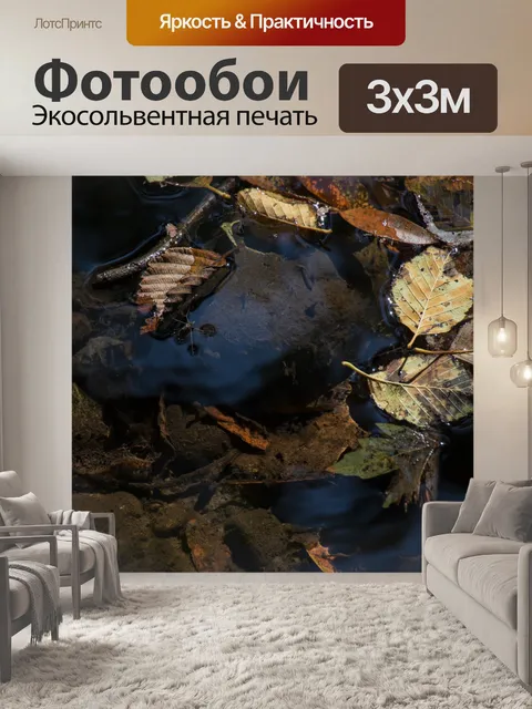 Фотообои Водяная ошибка на фоне стоячей воды