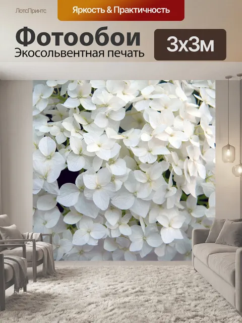 Фотообои Гортензия