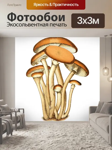 Фотообои Винтаж Клипарт Гриб Чемпион