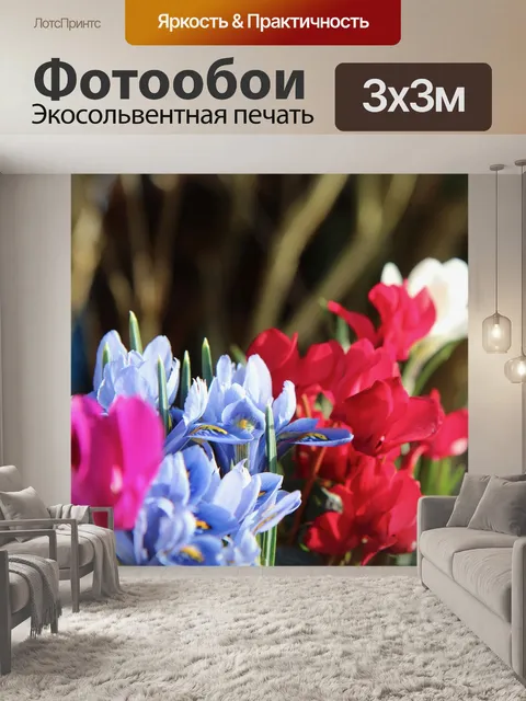 Фотообои Ирис синий