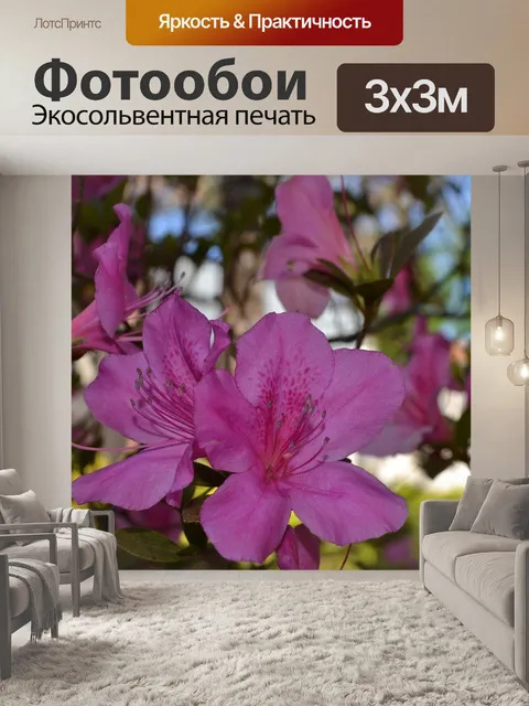Фотообои Розовая азалия
