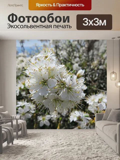 Фотообои Вишневый цветок