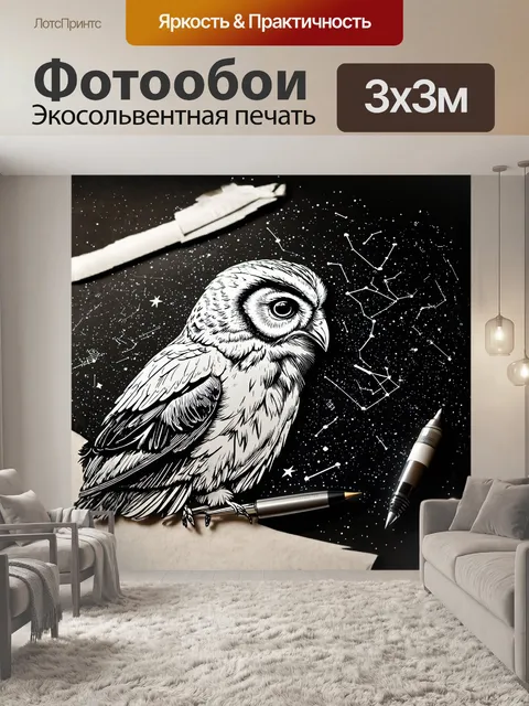 Фотообои сова изображена в профиле