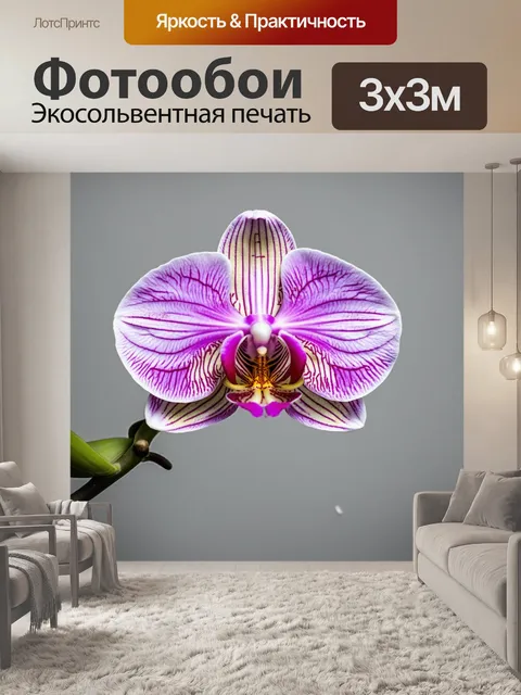 Фотообои орхидея, которая медленно распускается, показывает внутренние детали цветка, кадрирование фокусируется на…