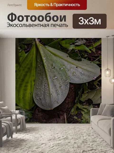 Фотообои Капли дождя