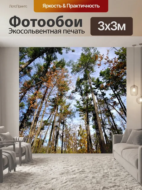 Фотообои Осенние краски