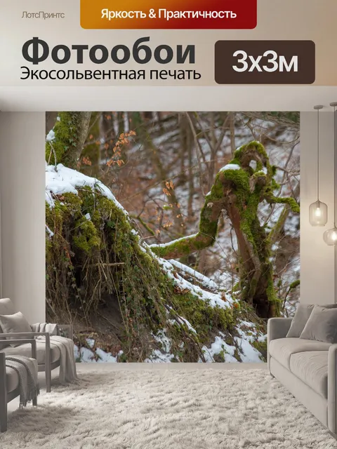 Фотообои Сказочный лес