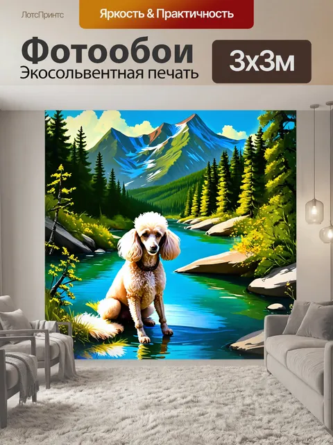 Фотообои пудель, сидящий на подъеме кристально чистой горной реки с зеленым лесом вокруг