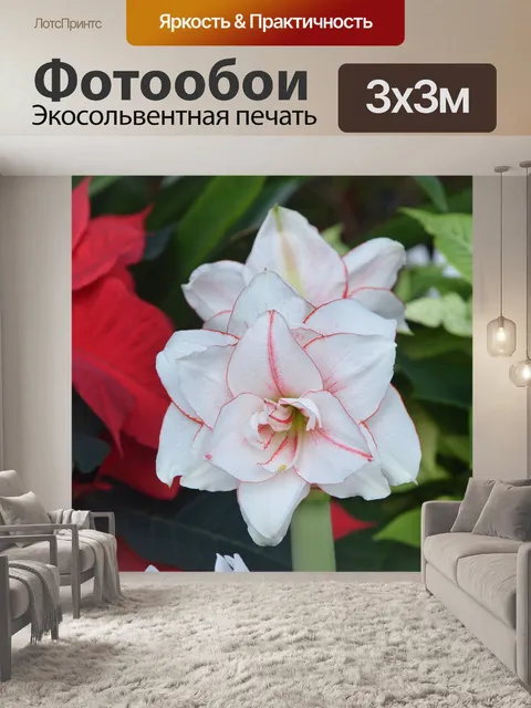 Фотообои Цветок