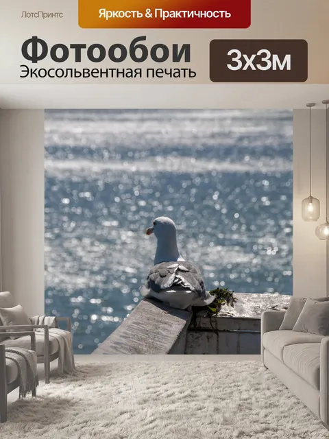 Фотообои Чайка на углу пирса