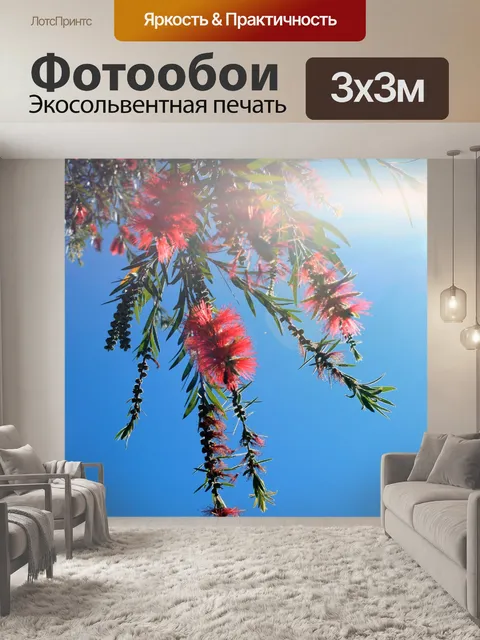 Фотообои красный хвоща с голубым небом и солнцем