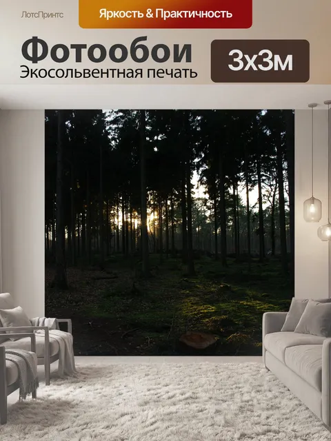 Фотообои Лес