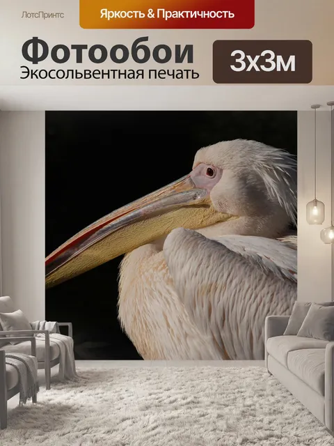 Фотообои Большой белый пеликан